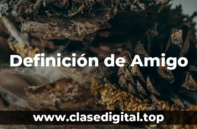 Definición técnica de amigo