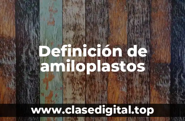 Definición de amiloplastos