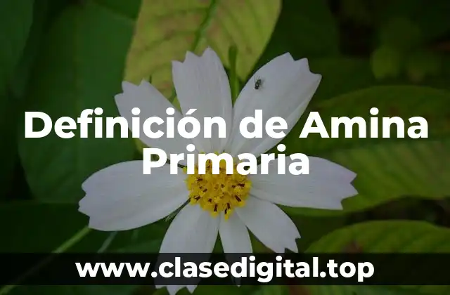 Definición de Amina Primaria