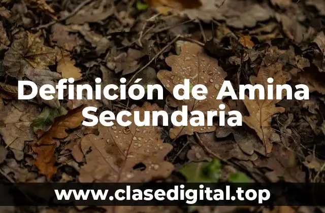 Definición de Amina Secundaria
