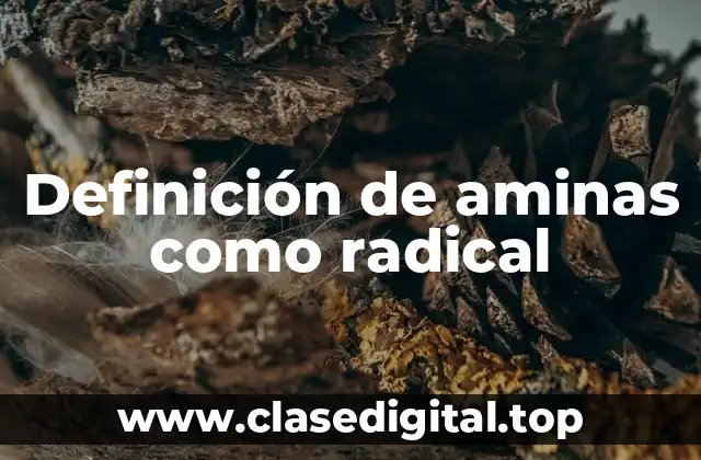 Definición de aminas como radical