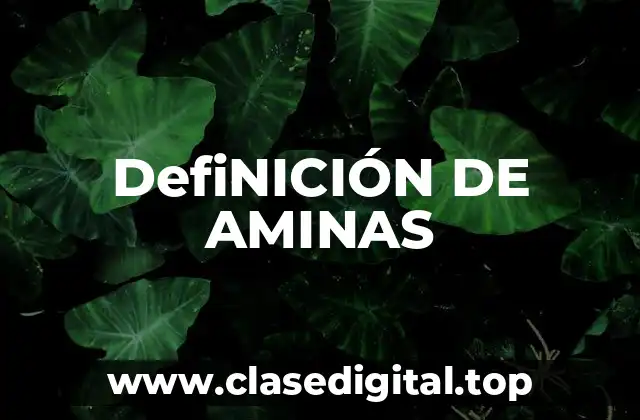 DefiNICIÓN DE AMINAS