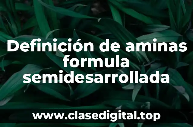Ejemplos de aminas formula semidesarrollada