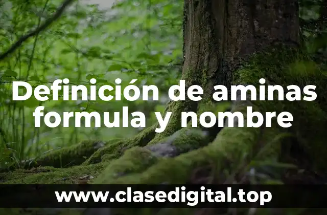 Definición de aminas formula y nombre