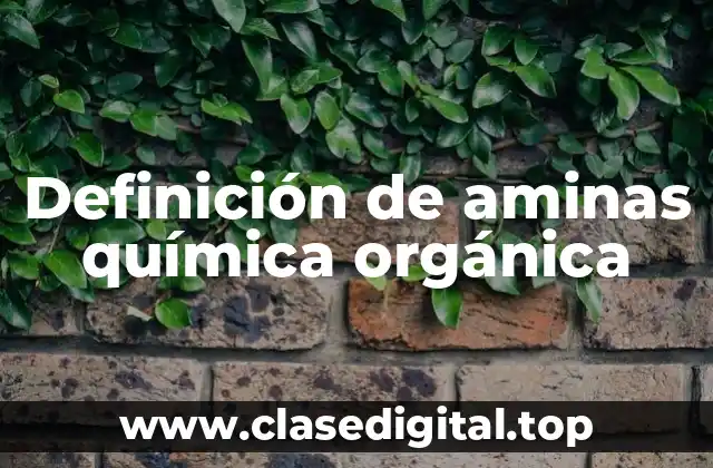 Definición de aminas química orgánica