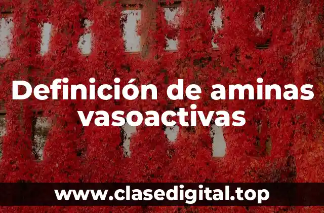 Definición de aminas vasoactivas