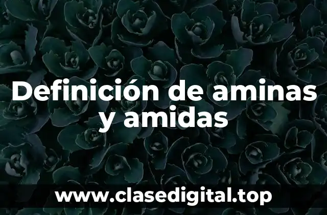 Definición de aminas y amidas