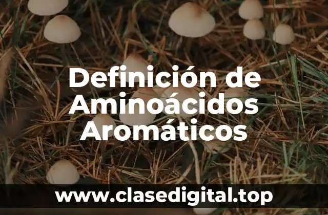 Definición de Aminoácidos Aromáticos