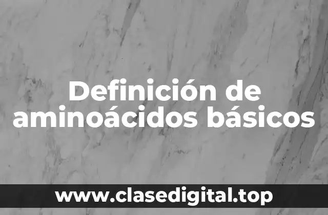 Definición de aminoácidos básicos