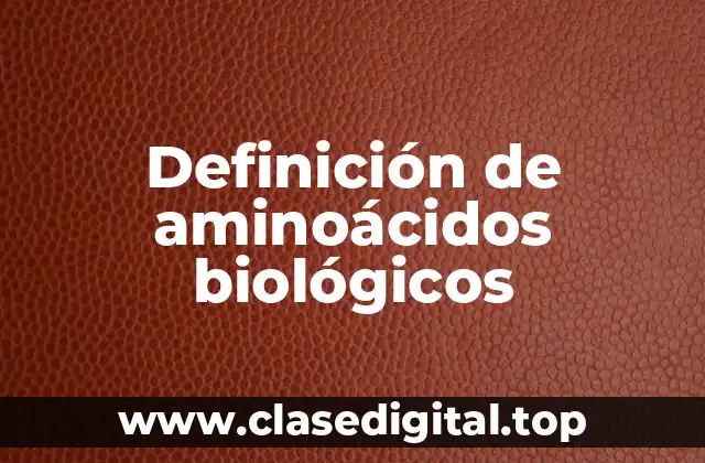 Definición de aminoácidos biológicos