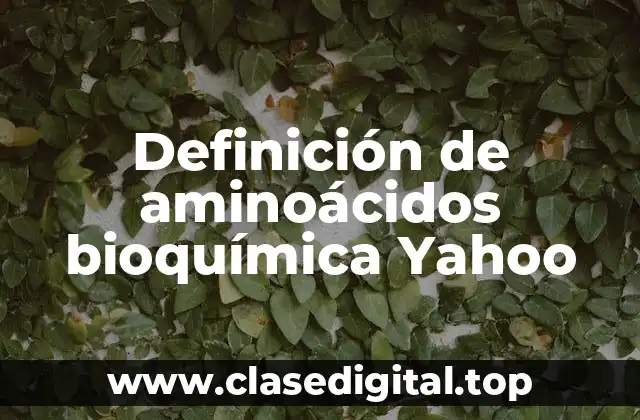 Definición de aminoácidos bioquímica Yahoo