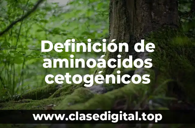 Definición de aminoácidos cetogénicos