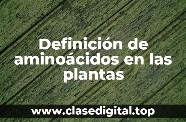 Definición de aminoácidos en las plantas