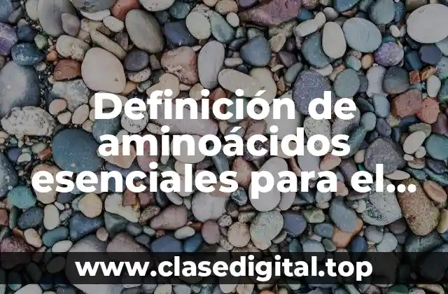 Definición de aminoácidos esenciales para el organismo humano