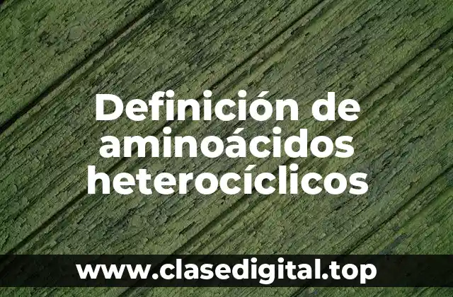 Definición de aminoácidos heterocíclicos