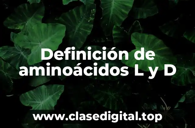 Definición de aminoácidos L y D
