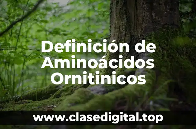 Definición de Aminoácidos Ornitinicos