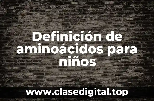 Definición de aminoácidos para niños