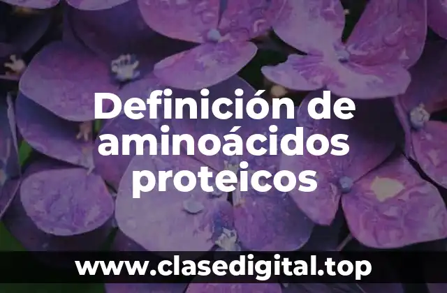 Definición de aminoácidos proteicos
