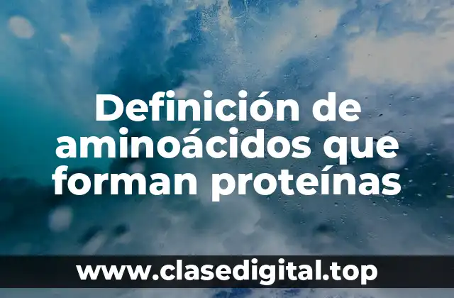 Definición de aminoácidos que forman proteínas