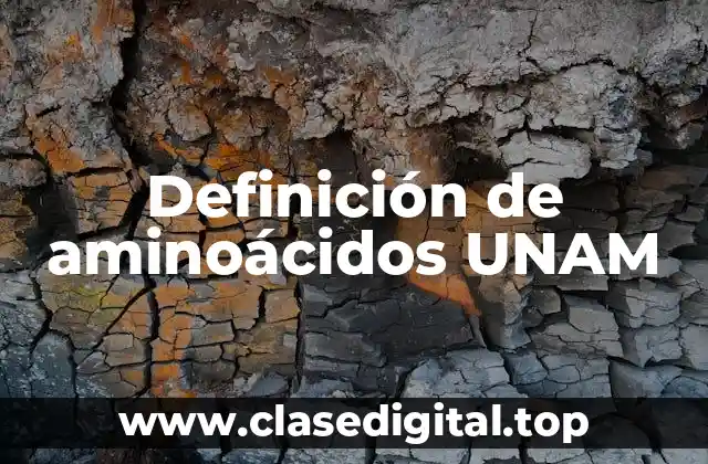 Definición de aminoácidos UNAM