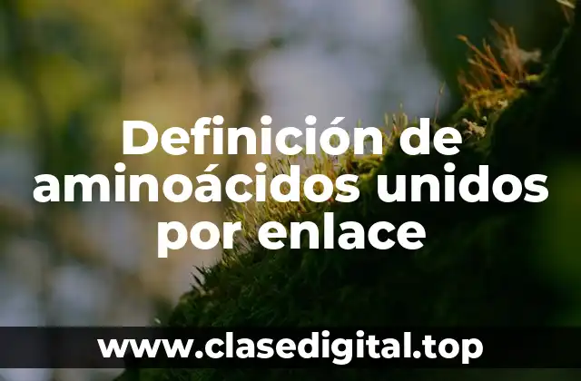 Definición de aminoácidos unidos por enlace