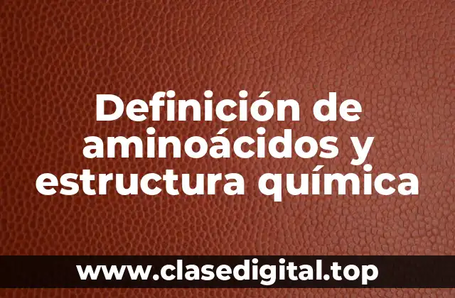 Definición de aminoácidos y estructura química