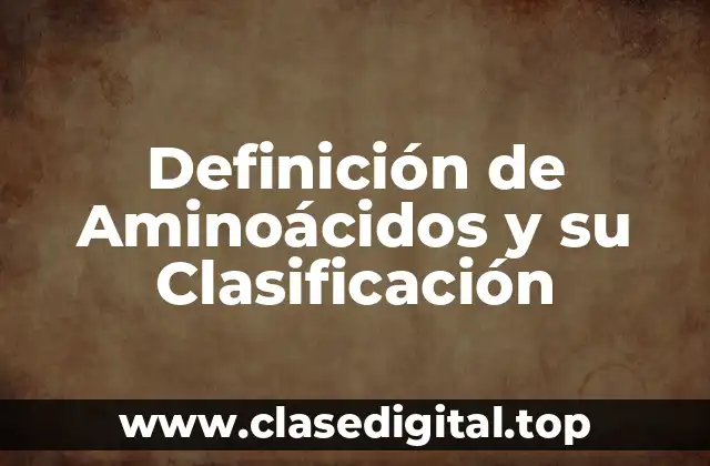 Definición de Aminoácidos y su Clasificación