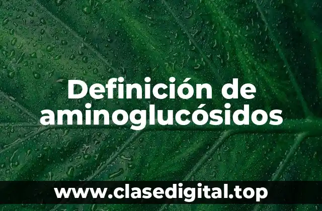 Definición de aminoglucósidos