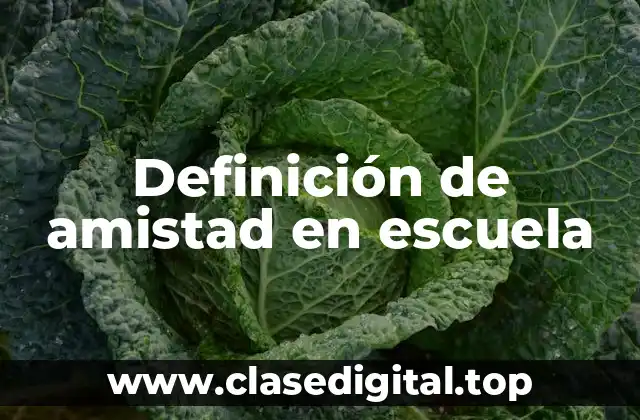 Ejemplos de amistad en escuela