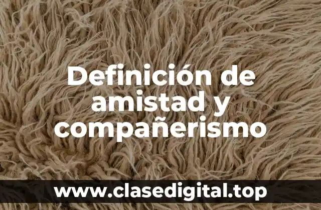 Definición de amistad y compañerismo