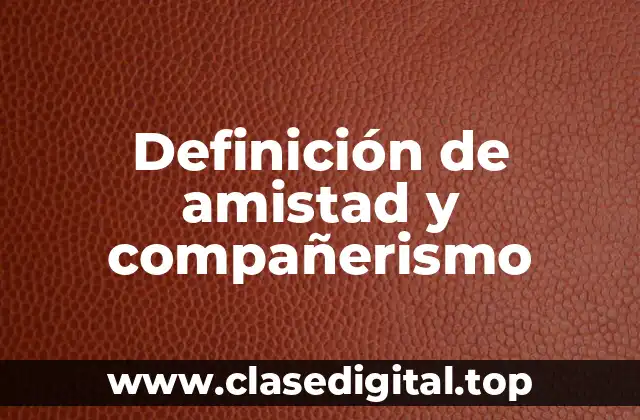 Definición de amistad y compañerismo