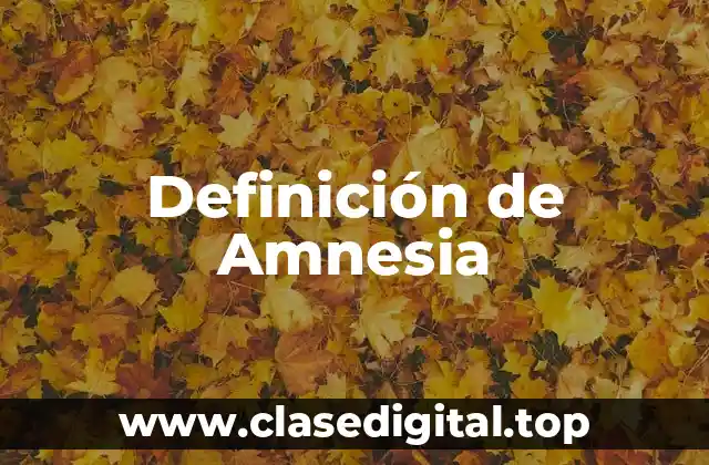 Definición técnica de Amnesia