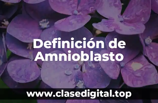 Definición de Amnioblasto