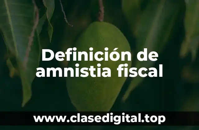 Definición de amnistia fiscal