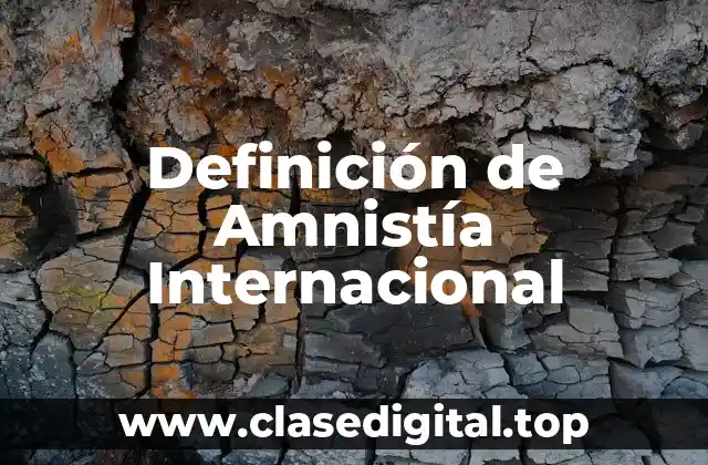 Definición de Amnistía Internacional