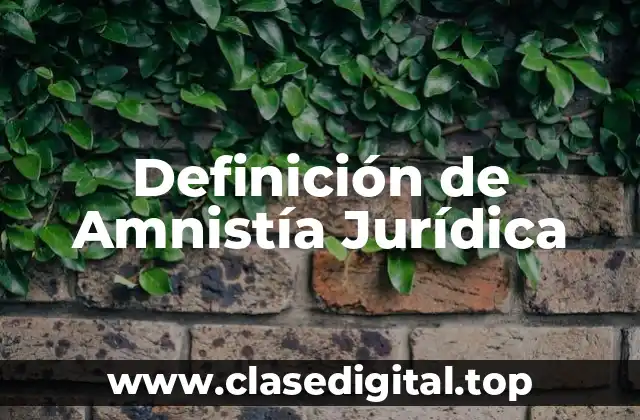 Definición de Amnistía Jurídica