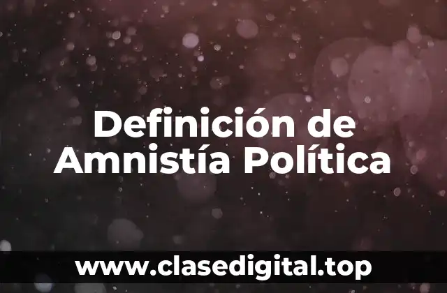 Definición de Amnistía Política