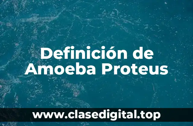 Definición de Amoeba Proteus