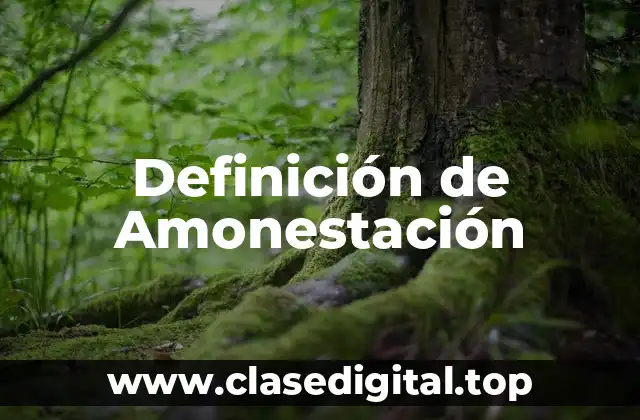 Definición de Amonestación