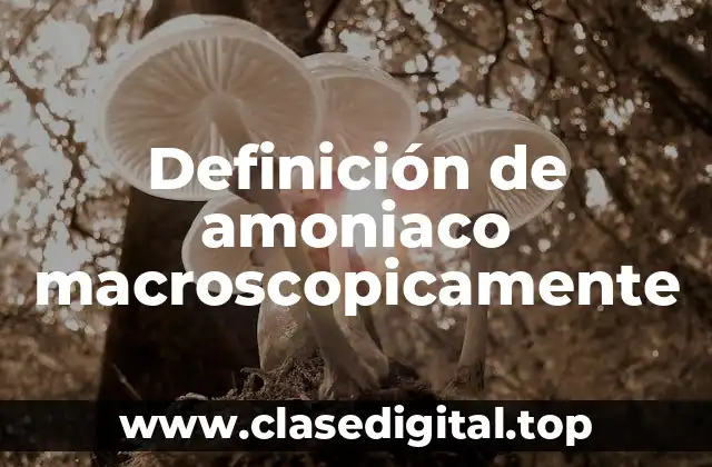 Definición de amoniaco macroscopicamente