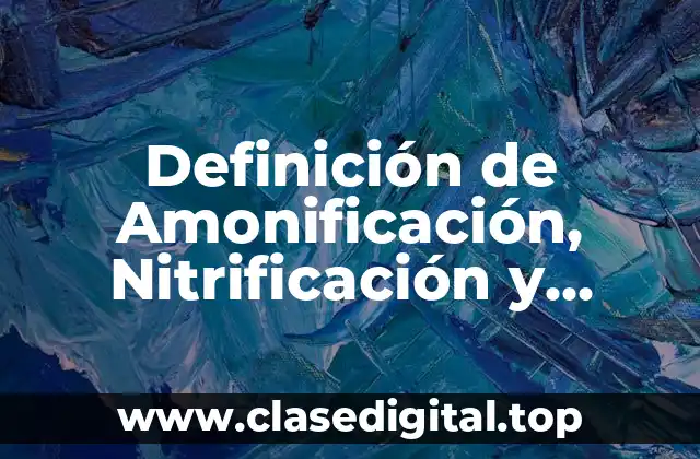 Definición de Amonificación, Nitrificación y Desnitrificación