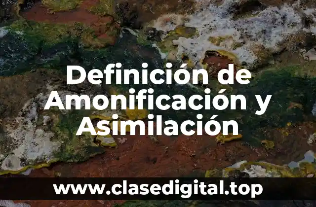 Definición técnica de Amonificación y Asimilación