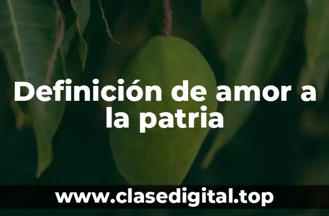 Definición de amor a la patria