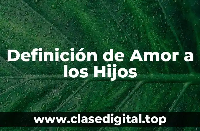 Definición de Amor a los Hijos