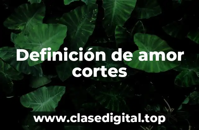 Definición de amor cortes