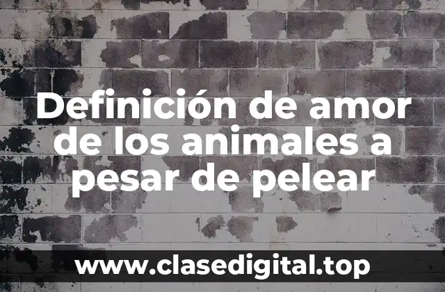 Definición de amor de los animales a pesar de pelear
