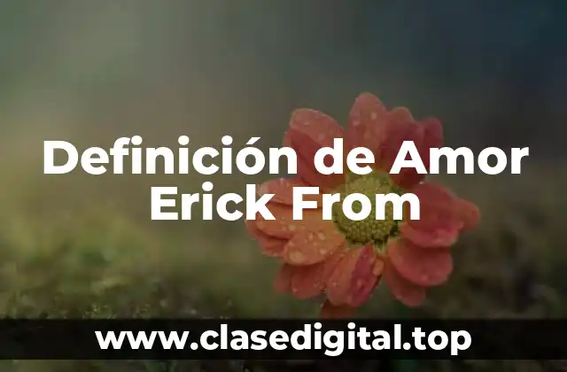 Definición de Amor Erick From
