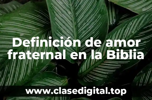 Definición de amor fraternal en la Biblia