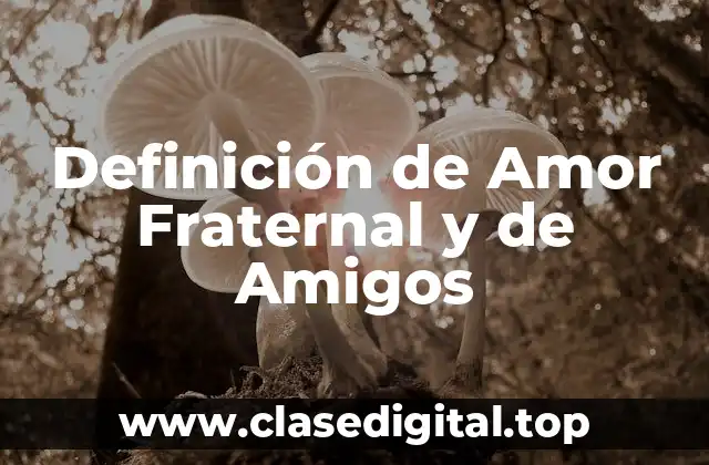 Definición de Amor Fraternal y de Amigos